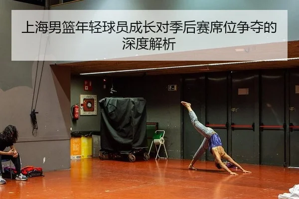 上海男篮年轻球员成长对季后赛席位争夺的深度解析